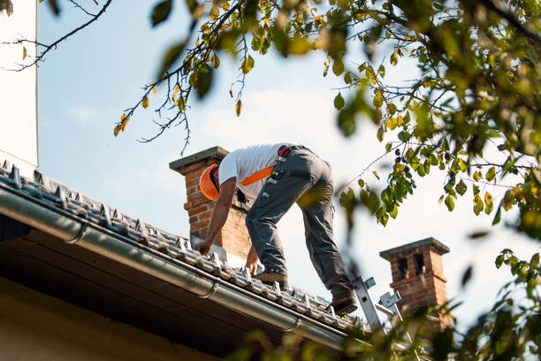 Best Local Roofing Companies  in Moweaqua, IL